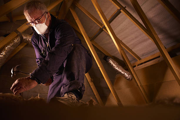 Best Insulation Inspection Services  in Highland, AR